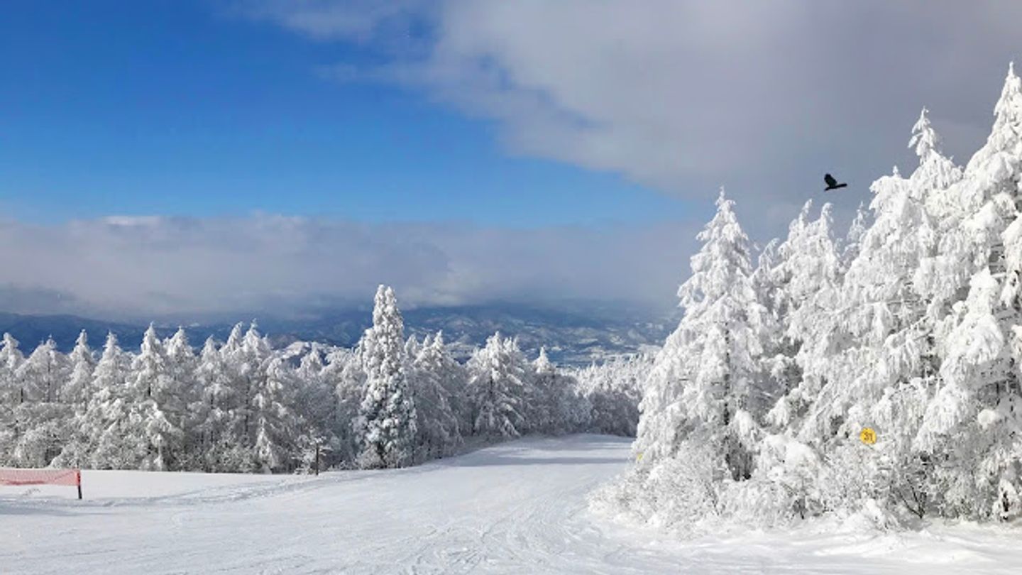 日本關東超人氣滑雪場 新潟Naeba苗場滑雪場 自助滑雪訂購攻略 @。CJ夫人。